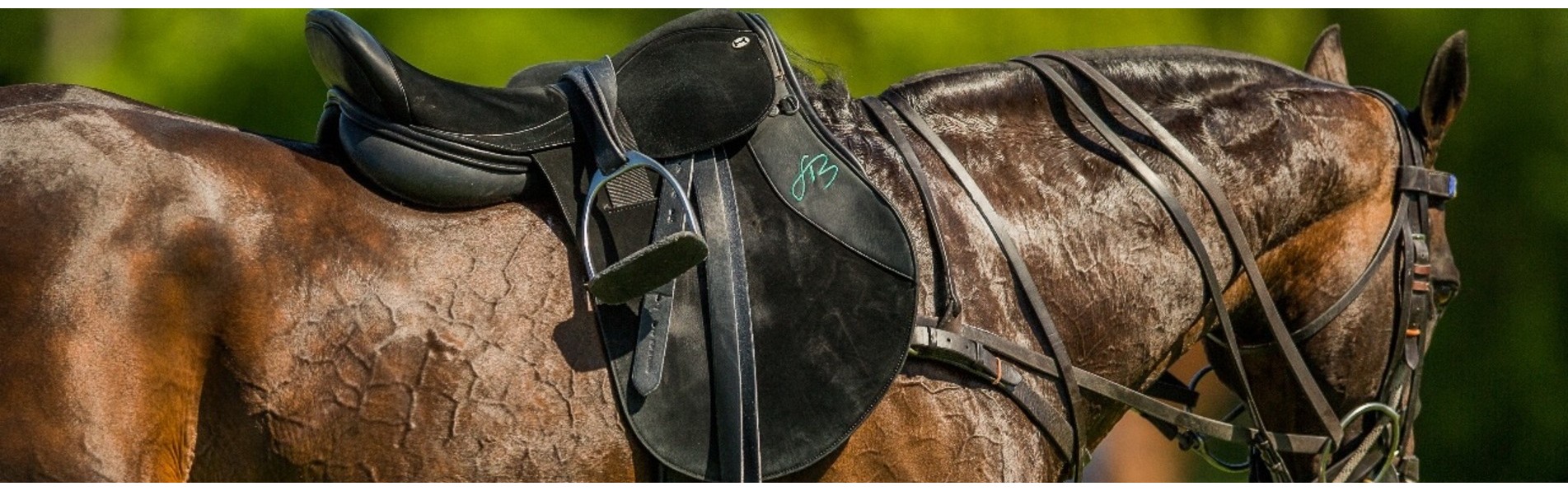 https://www.kronopolo.fr/image/cache/catalog/BLOG%20PHOTOS/POLO%20SADDLES-1903x596.jpg https://www.kronopolo.fr/image/cache/catalog/BLOG%20PHOTOS/POLO%20SADDLES-1903x596.jpg
