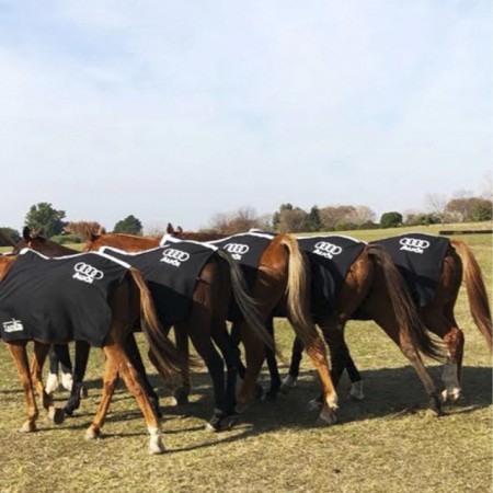 Couvertures de Polo