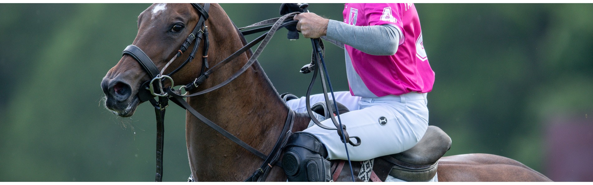 https://www.kronopolo.fr/image/cache/catalog/Blog%20Banners/argentine%20open%20polo-1903x596.jpg