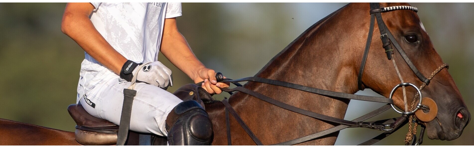 https://www.kronopolo.fr/image/cache/catalog/Blog%20Banners/best%20polo%20gloves-1903x596.jpg