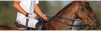 BEST POLO GLOVES