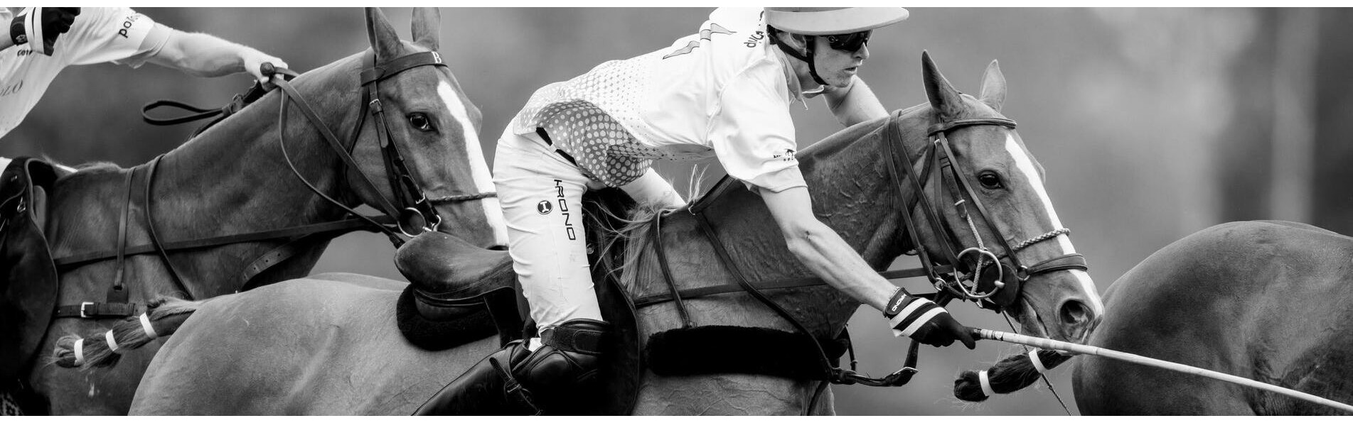 https://www.kronopolo.fr/image/cache/catalog/Blog%20Banners/essential%20polo%20equipment-1903x596.jpg