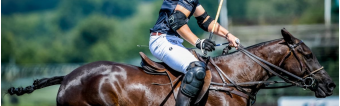 What is High Goal Polo?