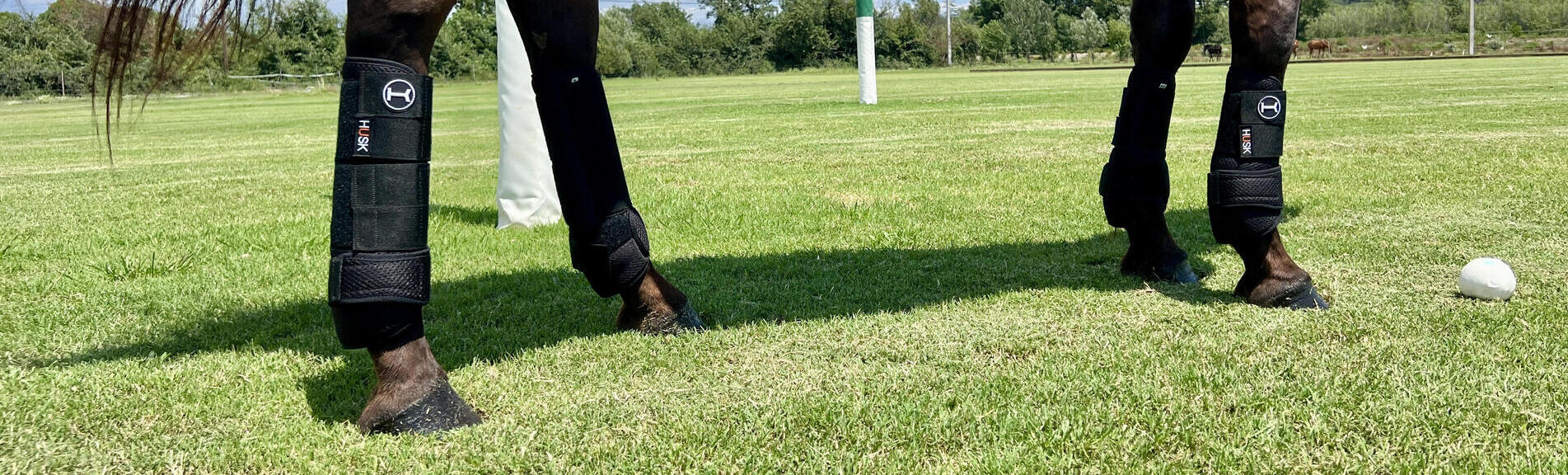 Bandages & Protections