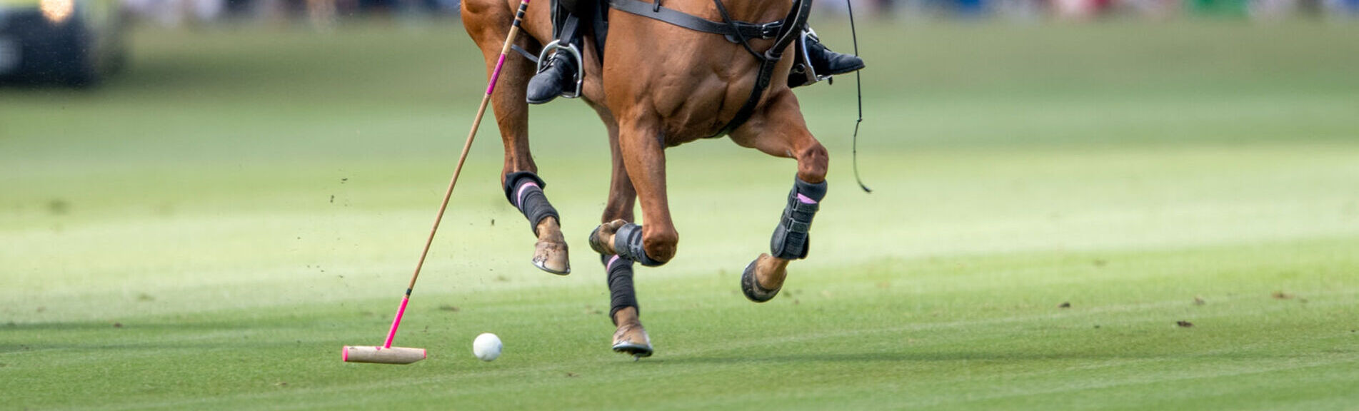 Clous de Polo