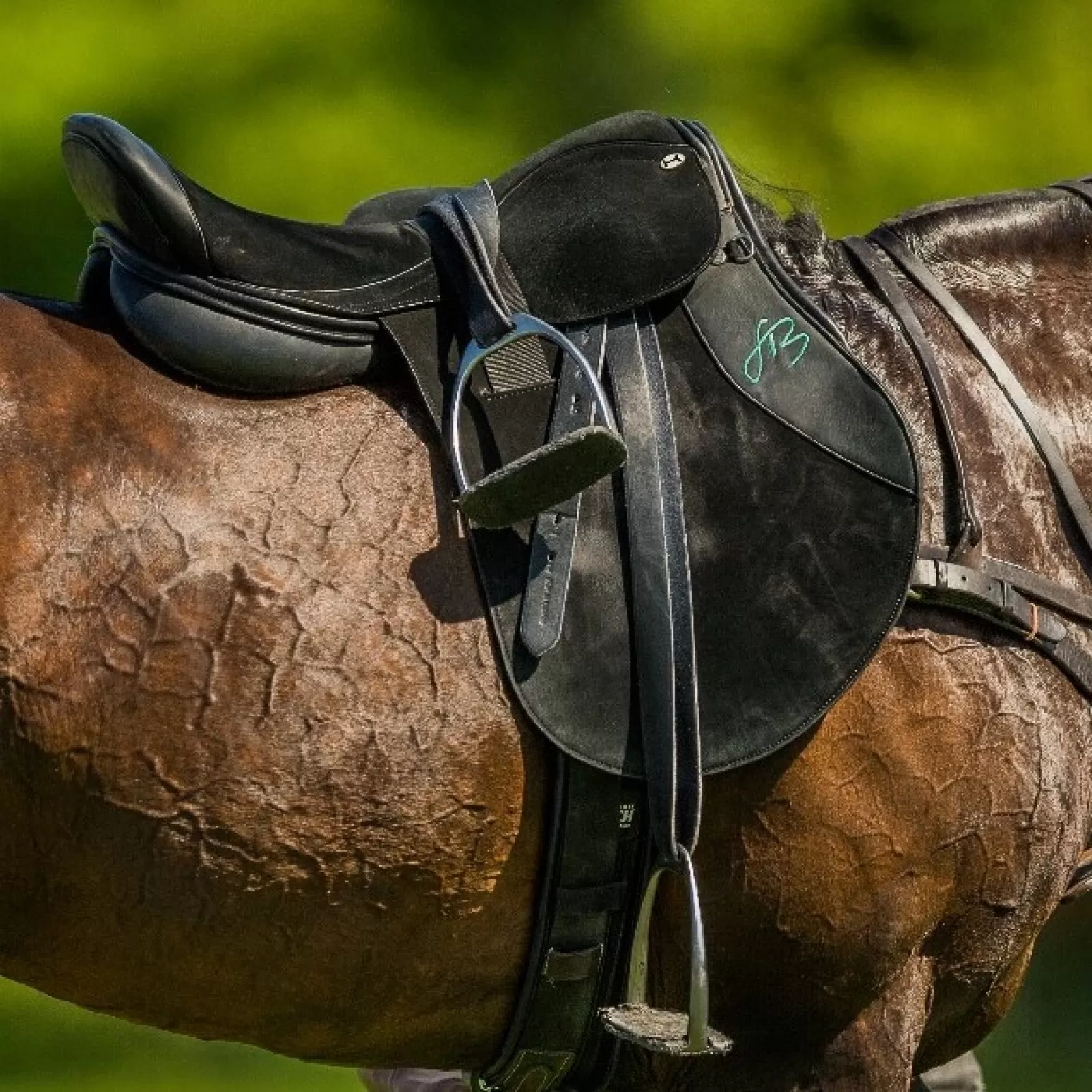 Selle de Polo High Goal en Carbone Selle de Polo High Goal en Carbone