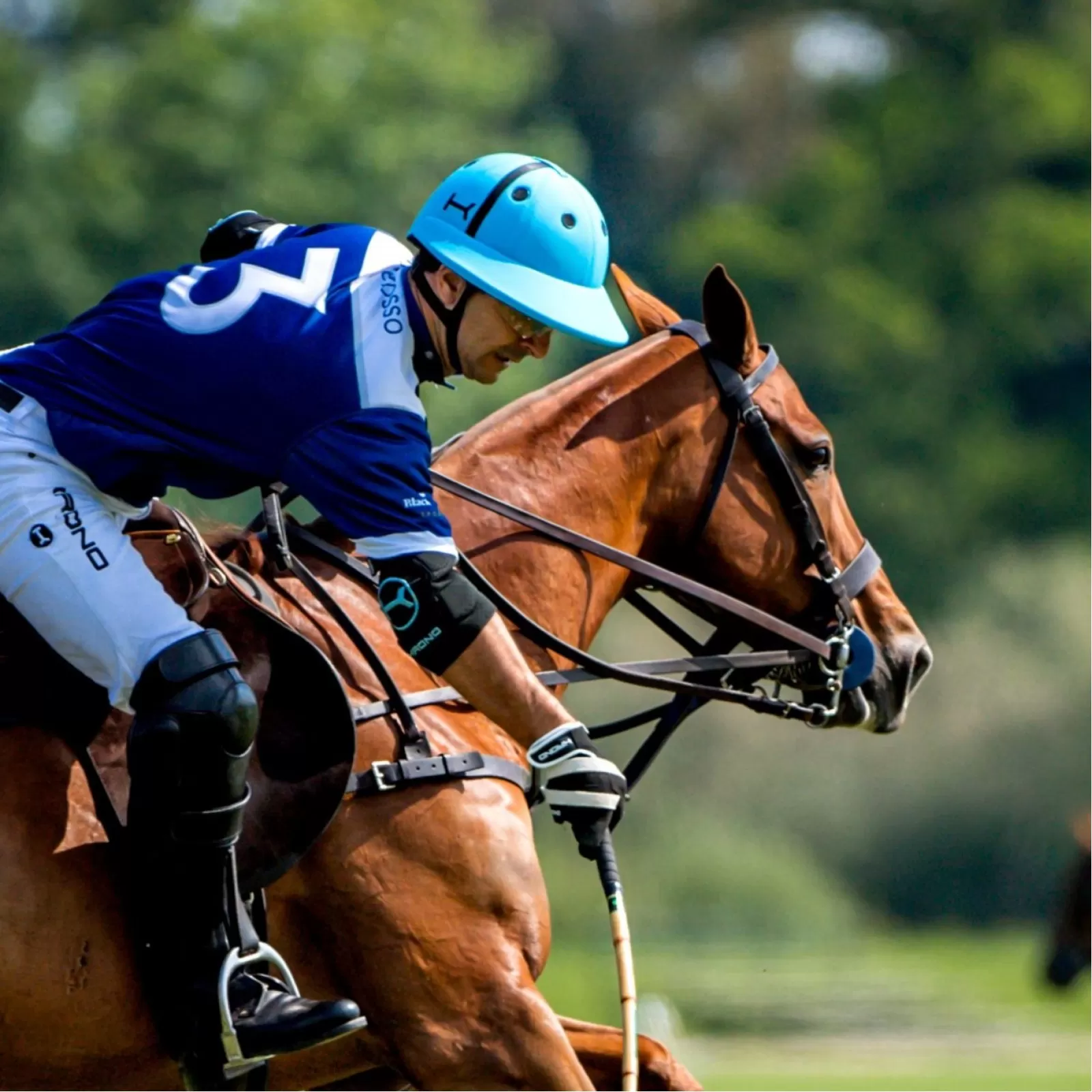 Mors Pelham Mors Pelham