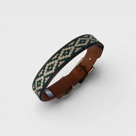 Collier pour Chien Gaucho Vert