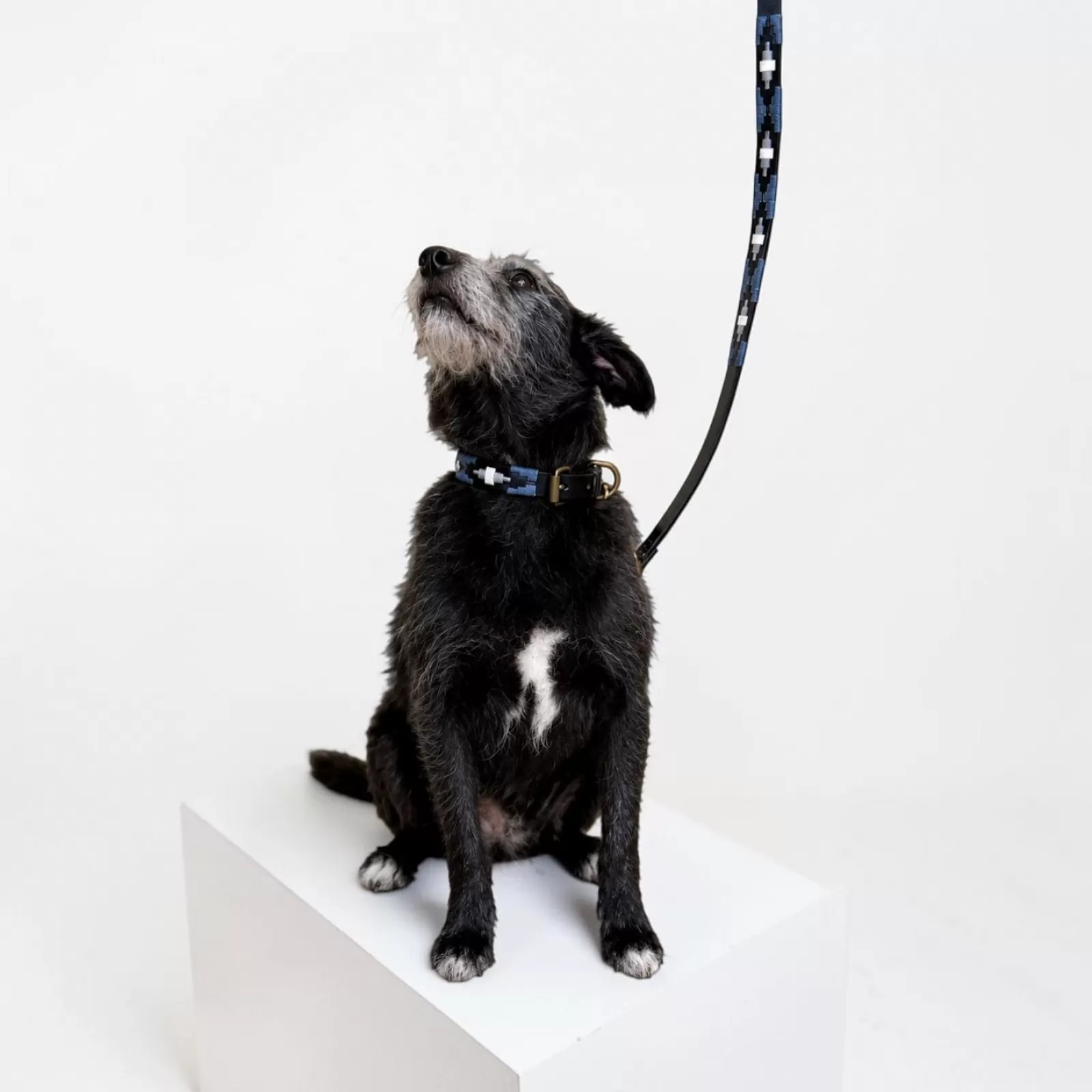 Laisses pour chien La Indiana Laisses pour chien La Indiana