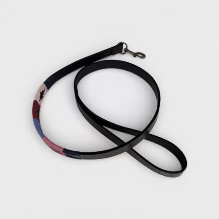 Laisse pour Chien Gaucho Rose