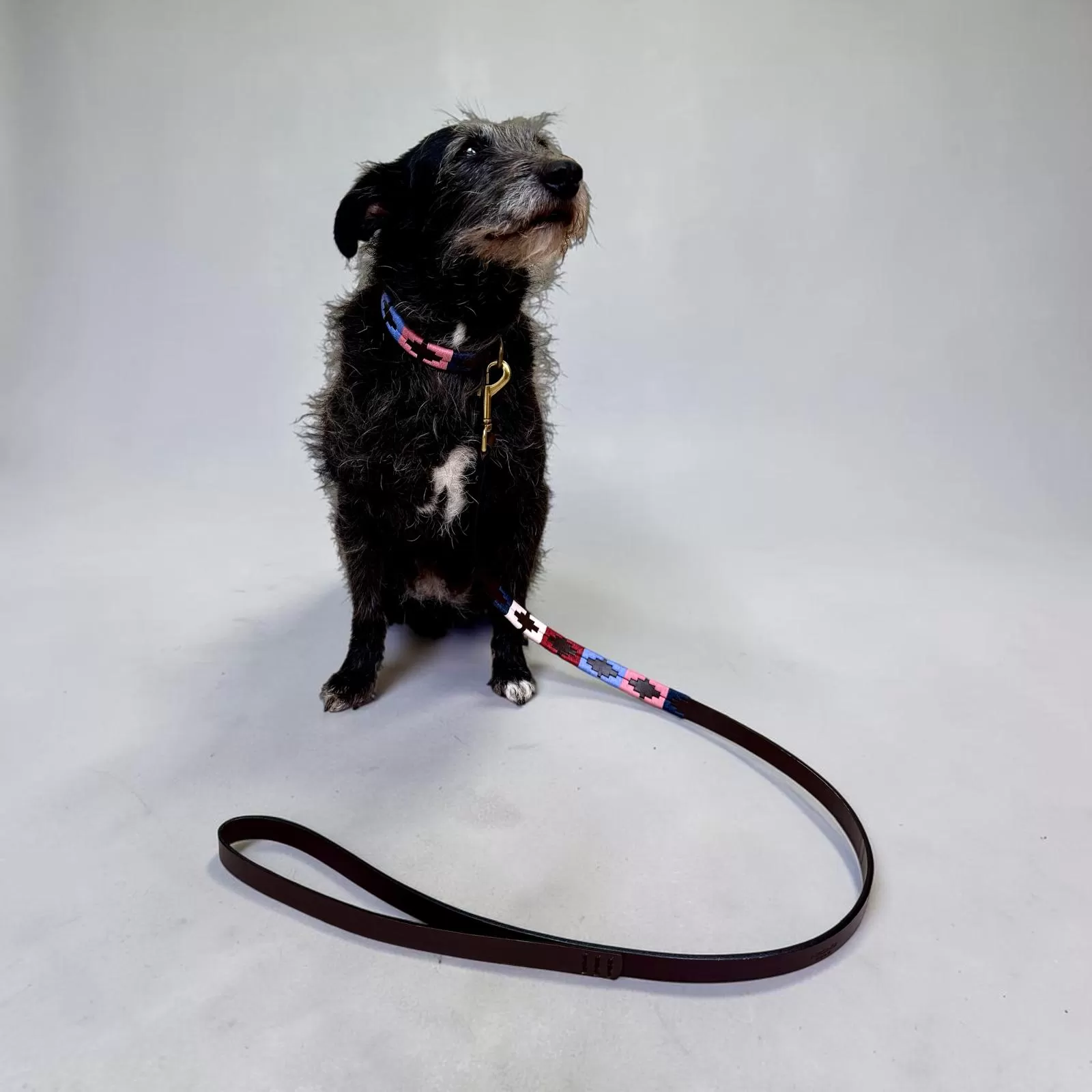 Laisse pour Chien Gaucho Rose Laisse pour Chien Gaucho Rose