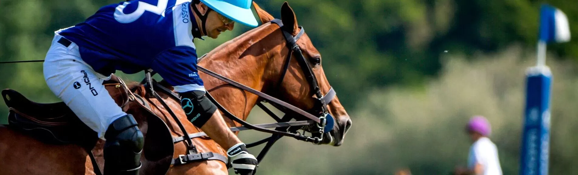 Breastplate & Martingale