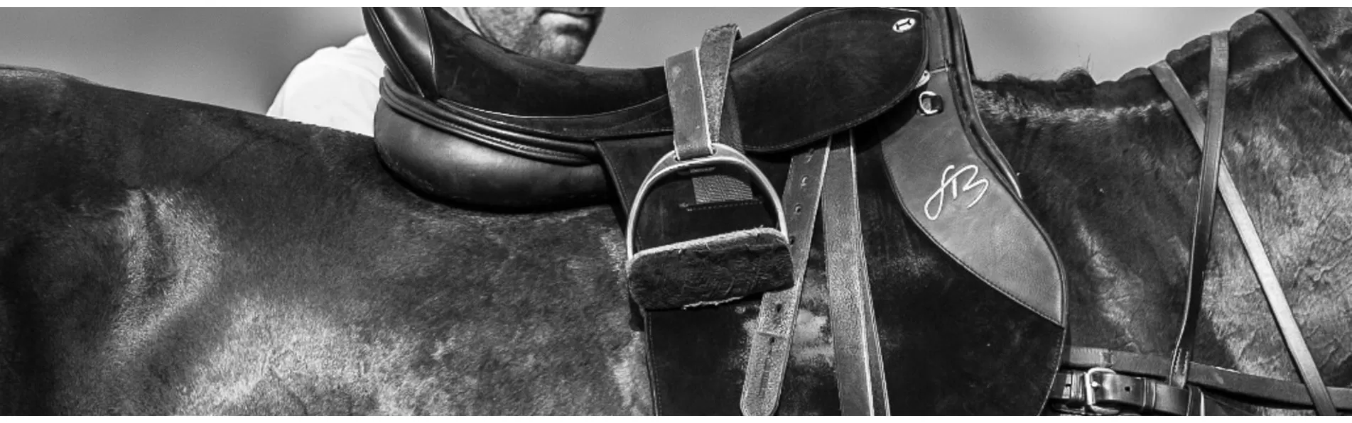 image/cache/wp/gj/Banners/Saddlery-1903x596.webp