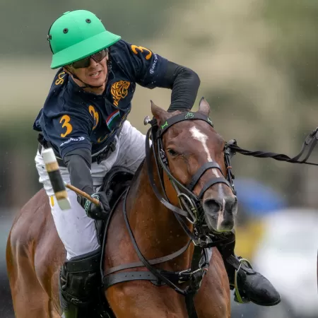 Barry Gag en fer doux