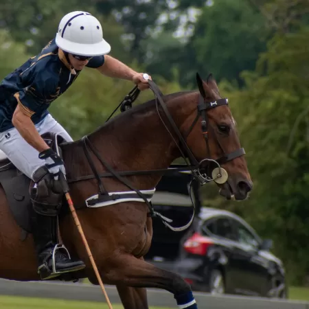 Bride compatible mors releveur Bride compatible mors releveur