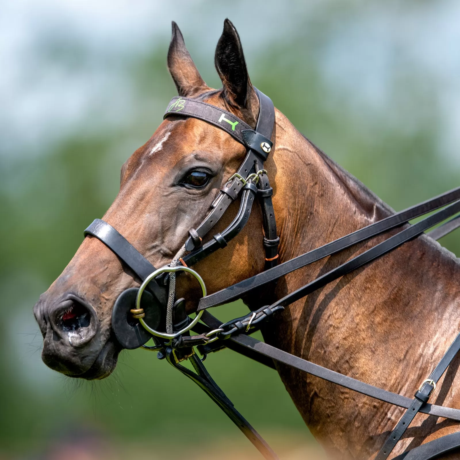 Frontaux personnalisés Frontaux personnalisés