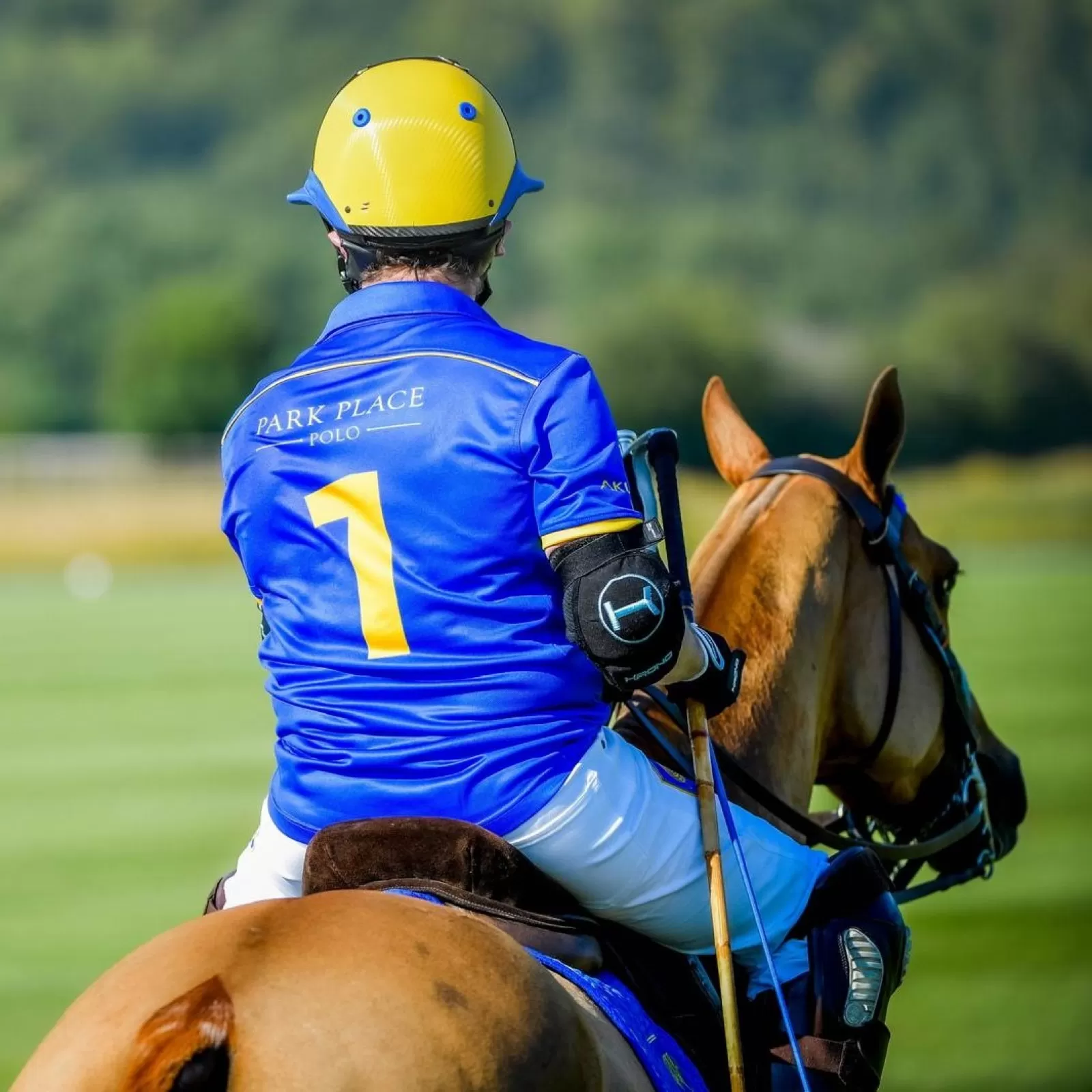 Coudières Bleues Coudières Bleues