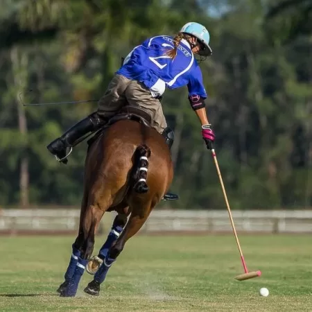 Coudières Roses Coudières Roses