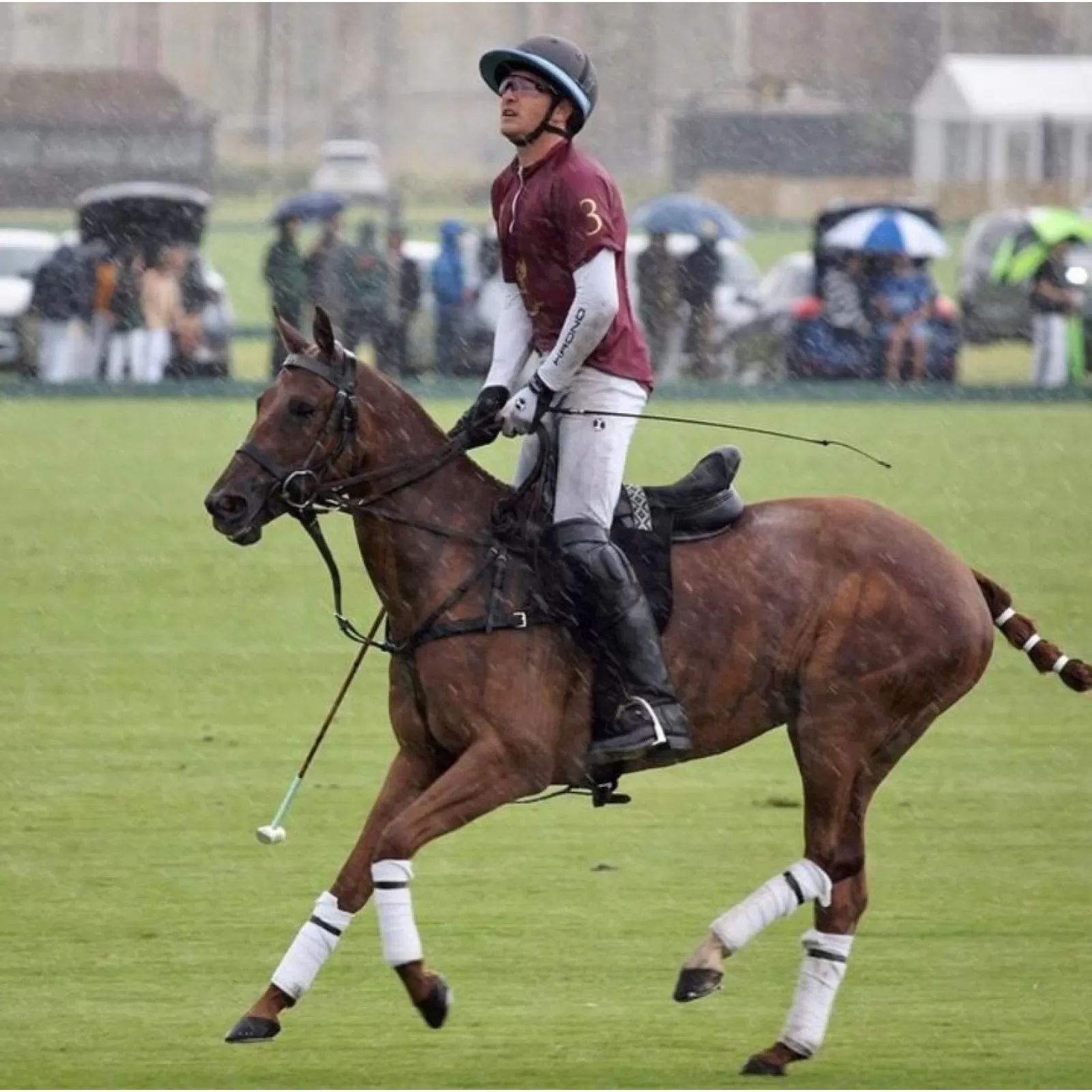 Gants de Polo High Goal Gants de Polo High Goal