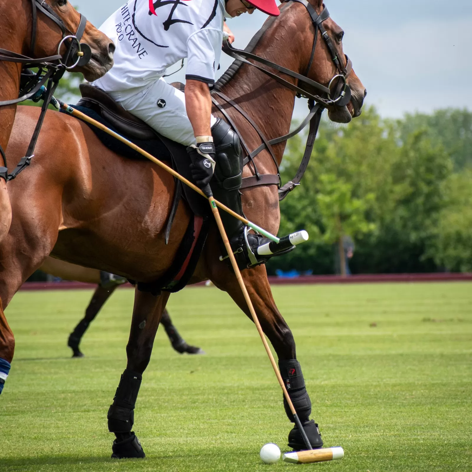 GANT DE POLO HIGH GOAL – MAIN DROITE GANT DE POLO HIGH GOAL – MAIN DROITE