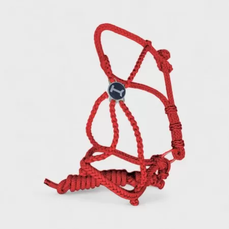 Licol Tressé en Nylon