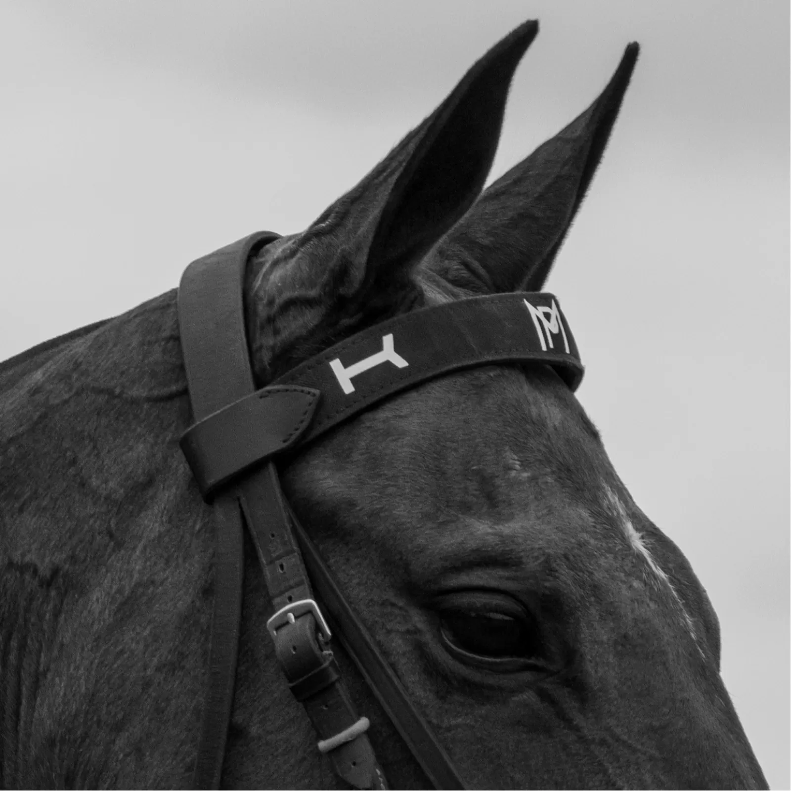 Frontaux personnalisés Frontaux personnalisés