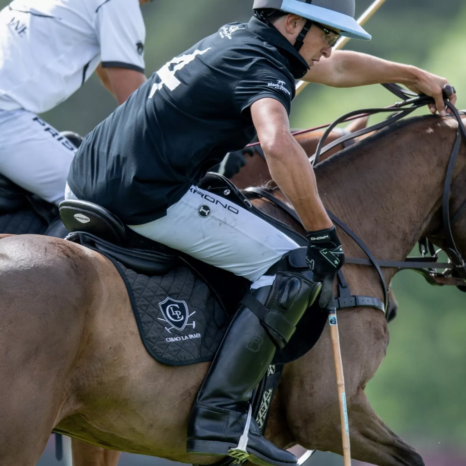 Selle de Polo High Goal en Carbone Selle de Polo High Goal en Carbone