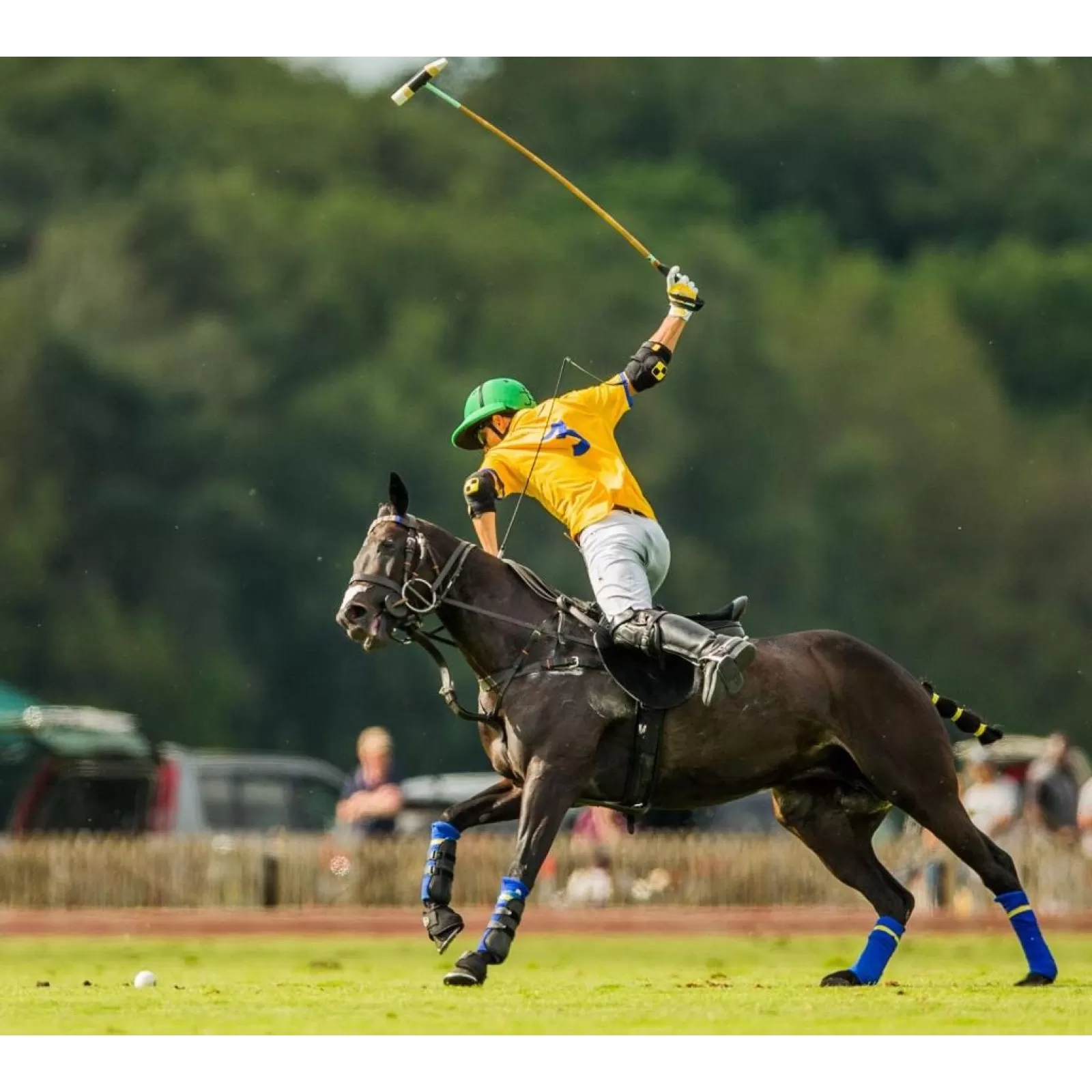 Selle de Polo High Goal en Carbone Selle de Polo High Goal en Carbone