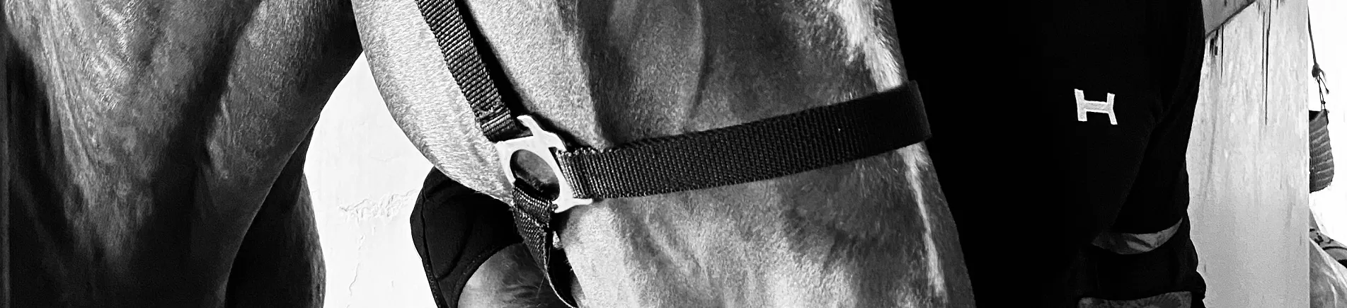 Vêtements d'équipe