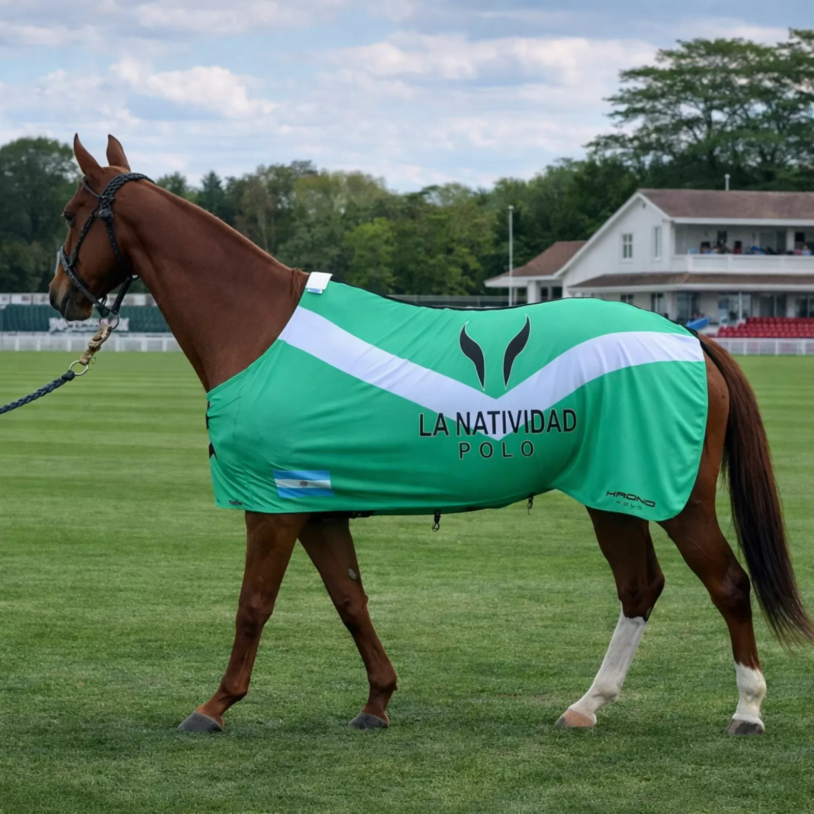 Couvertures de Polo Couvertures de Polo