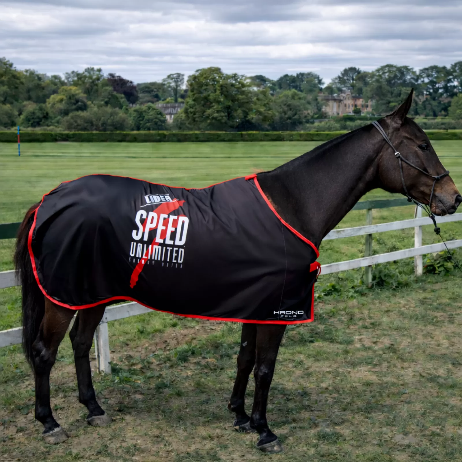 Couvertures de Polo Couvertures de Polo