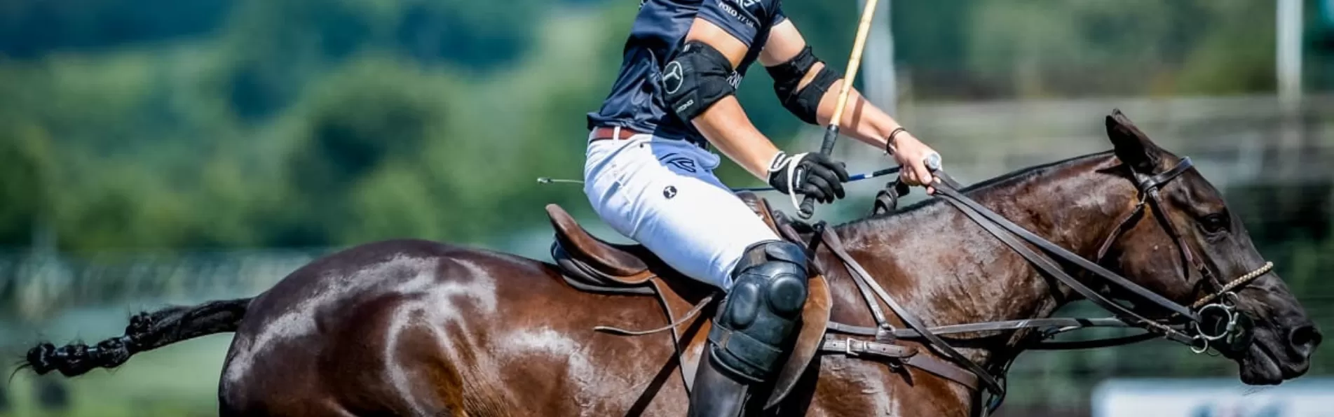 image/cache/wp/gp/Blog%20Banners/history-of-polo-trousers-1903x596.webp