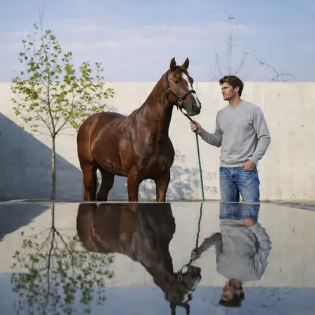 Sweatshirt en Cachemire Gris Clair