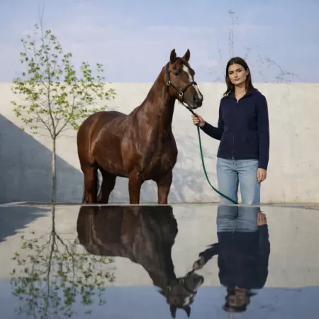 Sweat à capuche Zippé en cachemire Bleu Marine
