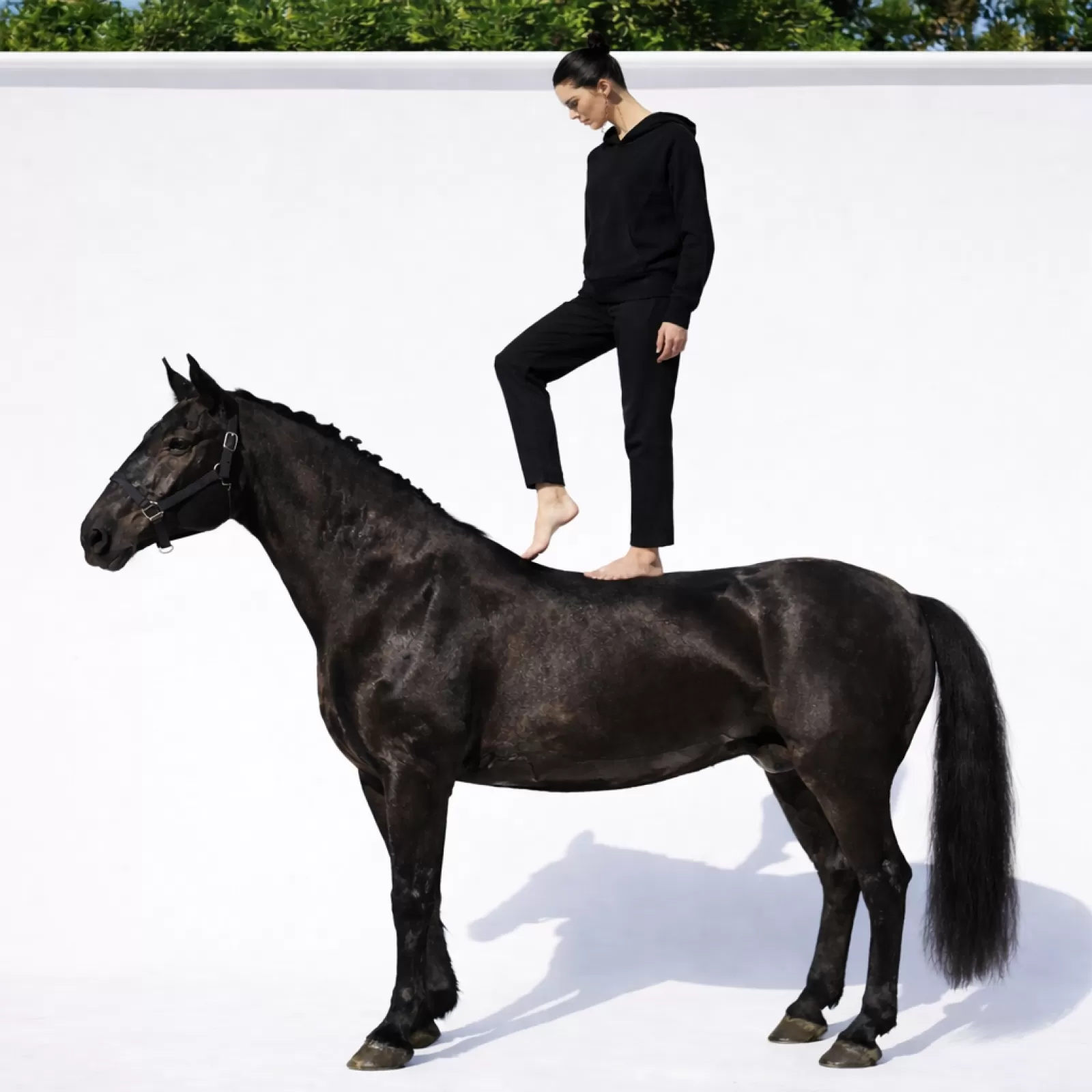 Sweat à capuche Chukka en cachemire Noir Sweat à capuche Chukka en cachemire Noir