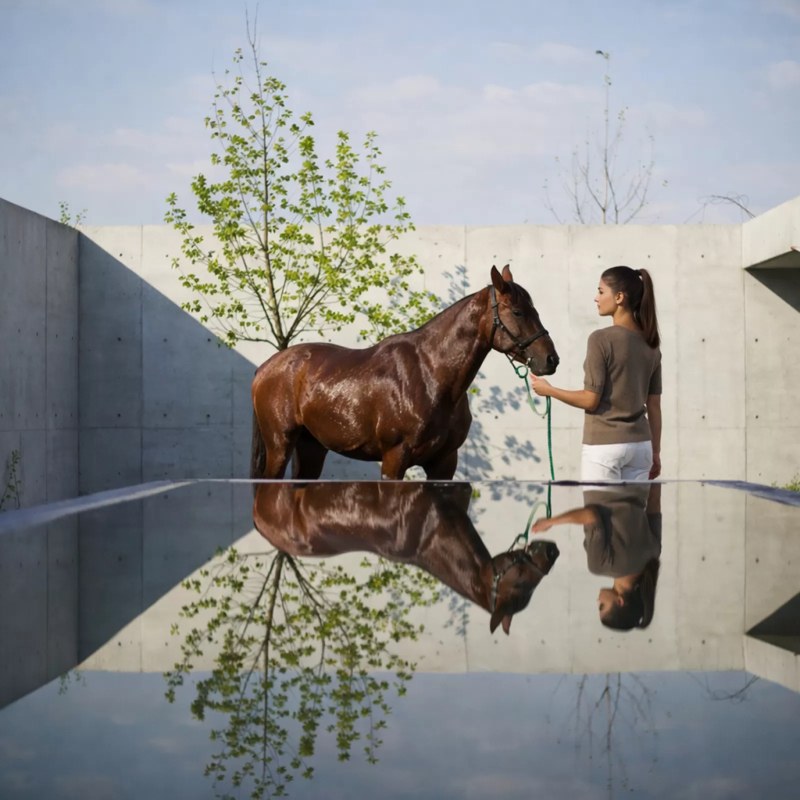 T-shirt en Cachemire Ayala Marron Clair T-shirt en Cachemire Ayala Marron Clair